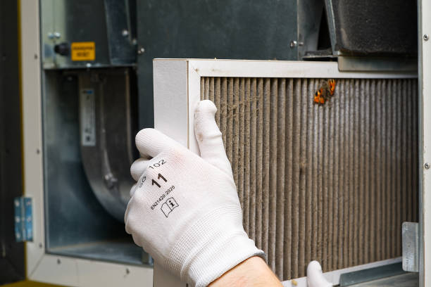 Best Home Air Vent Cleaning  in Belmont Estates, VA