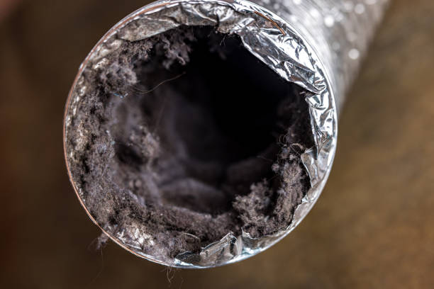 Air Duct Mold Removal in VA