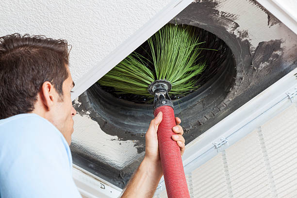 Best Affordable Air Duct Cleaning  in Belmont Estates, VA